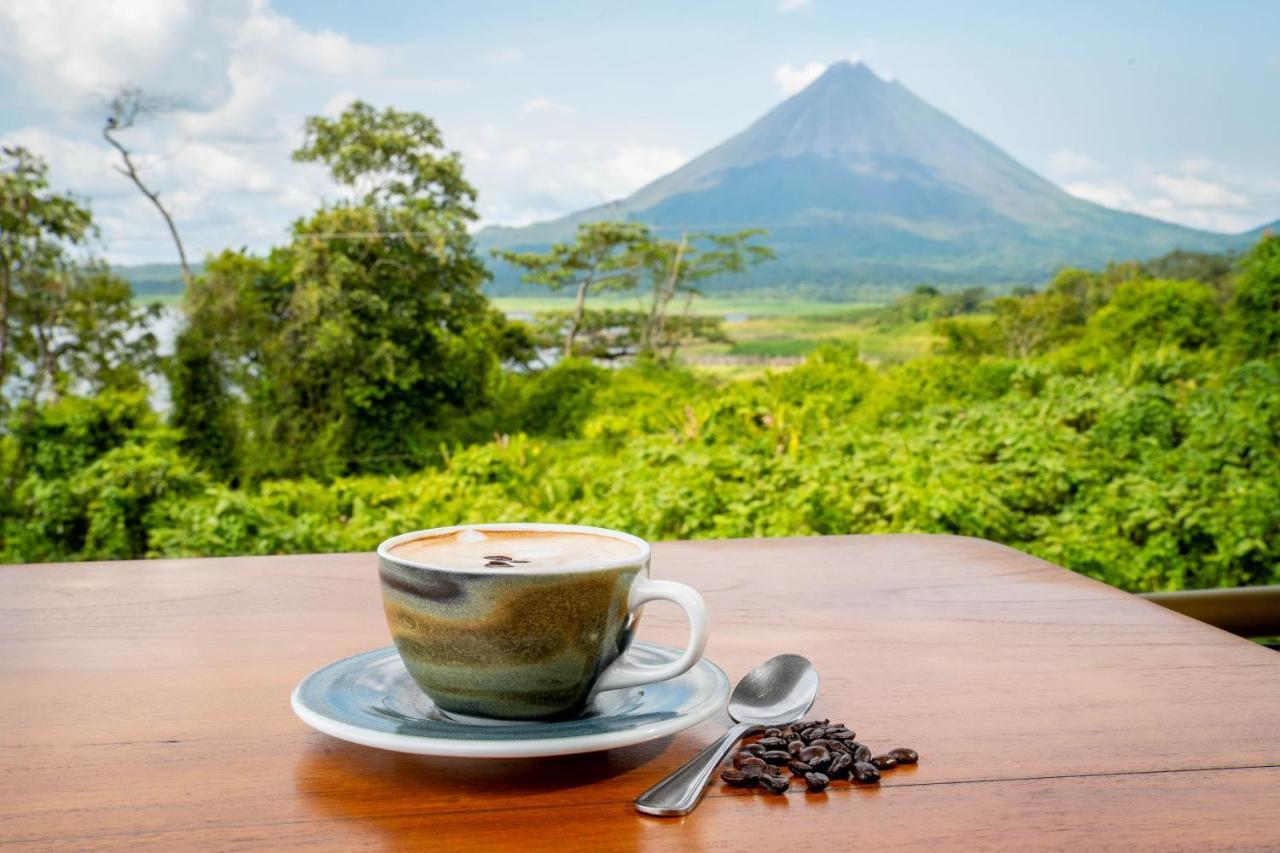 Paradise Arenal Volcano View Bed & Breakfast