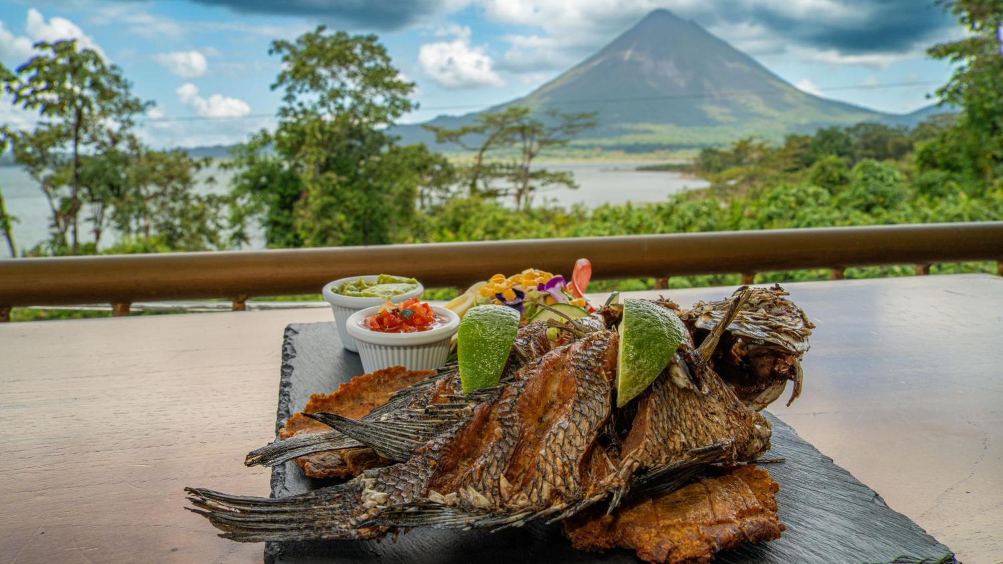 Bed & Breakfast Paradise Arenal Volcano View